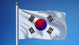 Ülke Raporları | Güney Kore