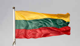 Ülke Raporları | Litvanya