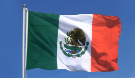 Ülke Raporları | Meksika