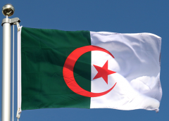 Ülke Raporları | Cezayir