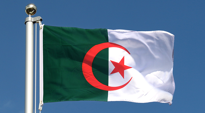 Ülke Raporları | Cezayir
